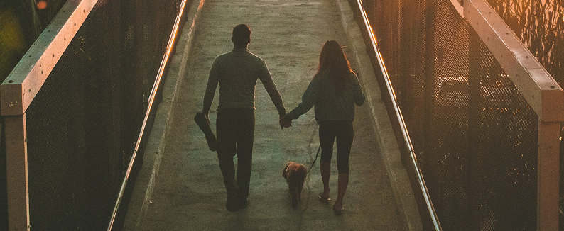 Pareja caminando juntos con su mascota - Seplus te acompaña en tu camino